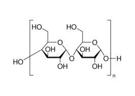 Midó de blat de moro / midó de blat de moro 丨 CAS 9005-25-8
